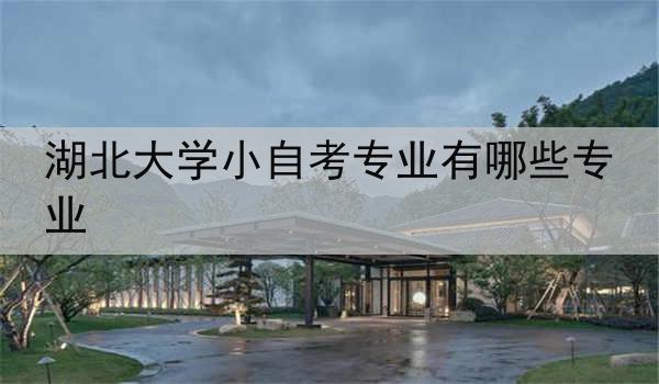 湖北大学小自考专业有哪些专业