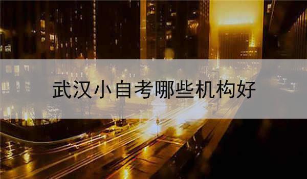 武汉小自考哪些机构好