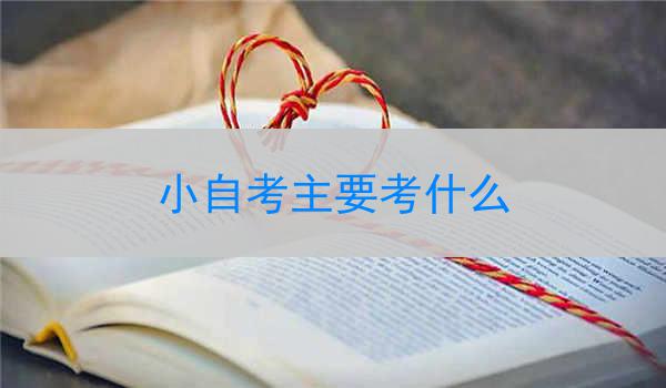 小自考主要考什么