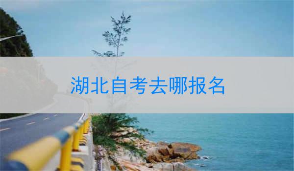 湖北自考去哪报名