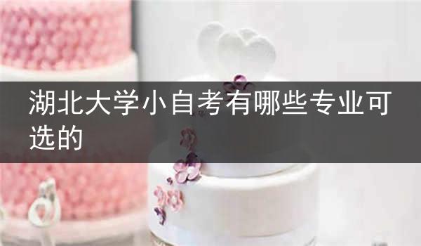 湖北大学小自考有哪些专业可选的