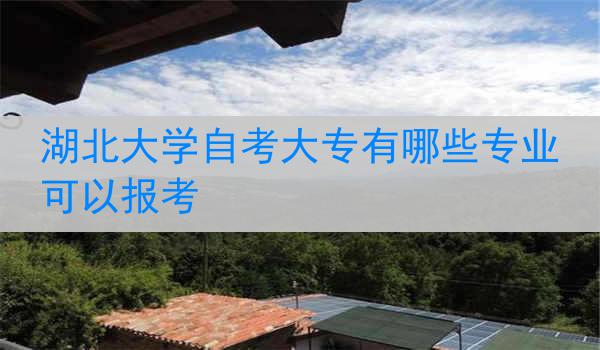 湖北大学自考大专有哪些专业可以报考