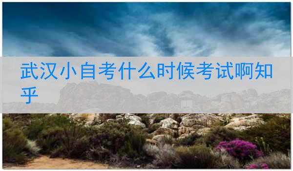 武汉小自考什么时候考试啊知乎