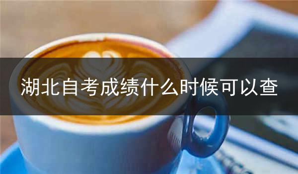 湖北自考成绩什么时候可以查
