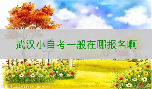 武汉小自考一般在哪报名啊
