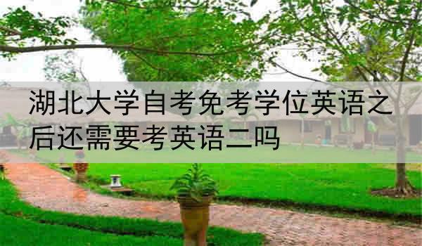 湖北大学自考免考学位英语之后还需要考英语二吗
