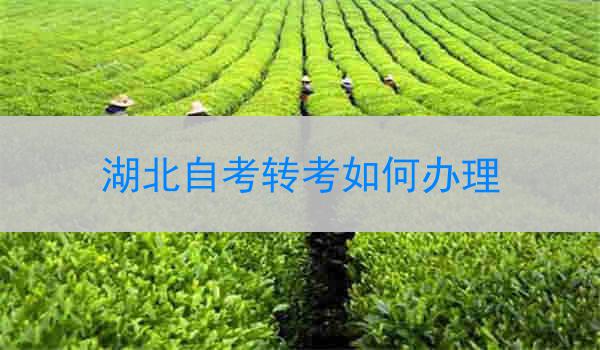 湖北自考转考如何办理