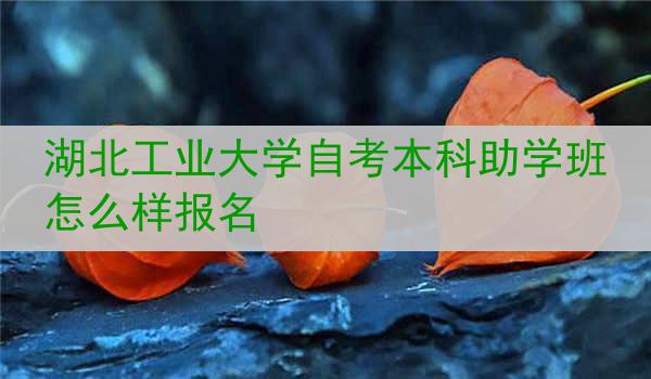 湖北工业大学自考本科助学班怎么样报名