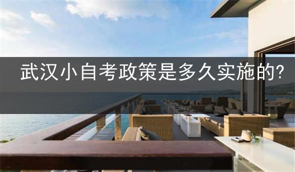 武汉小自考政策是多久实施的?
