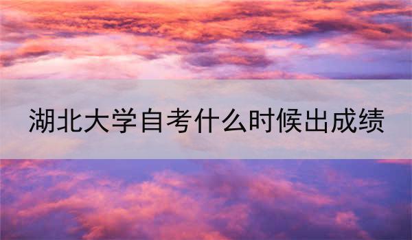 湖北大学自考什么时候出成绩