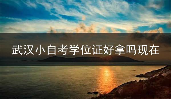 武汉小自考学位证好拿吗现在