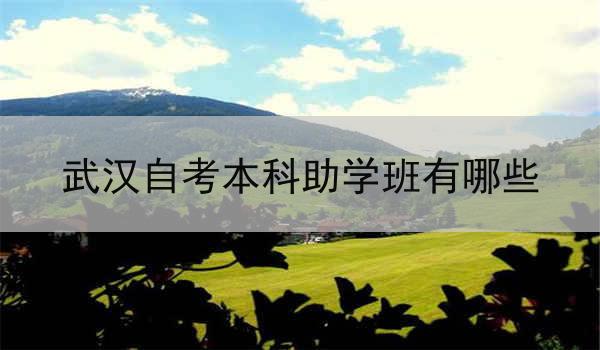 武汉自考本科助学班有哪些