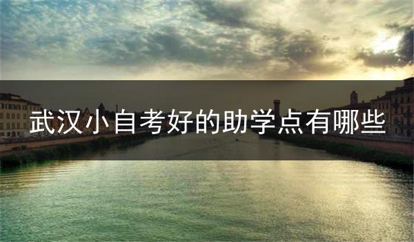 武汉小自考好的助学点有哪些