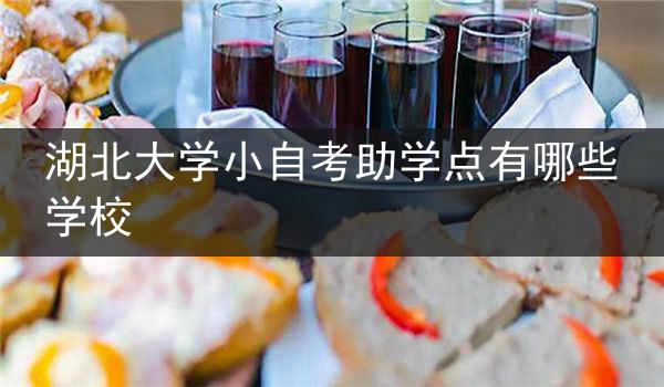 湖北大学小自考助学点有哪些学校