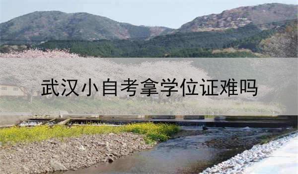 武汉小自考拿学位证难吗