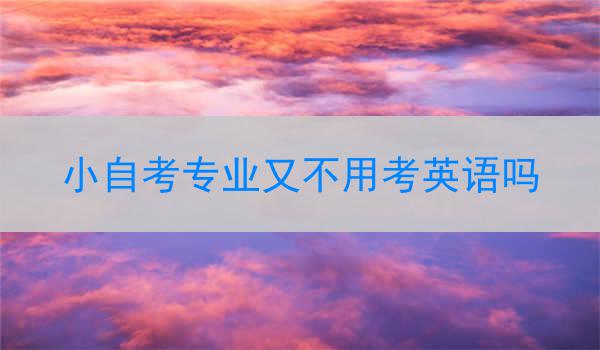 小自考专业又不用考英语吗