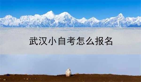武汉小自考怎么报名