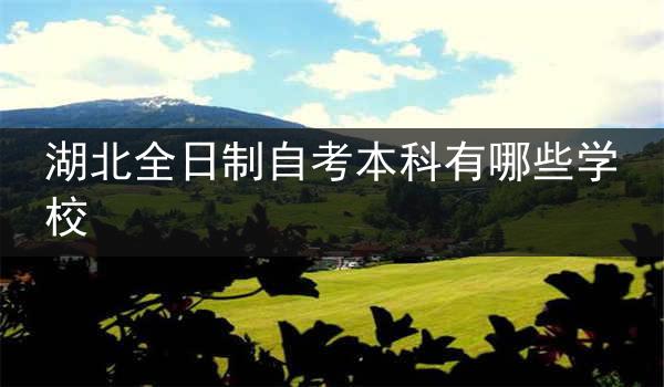 湖北全日制自考本科有哪些学校