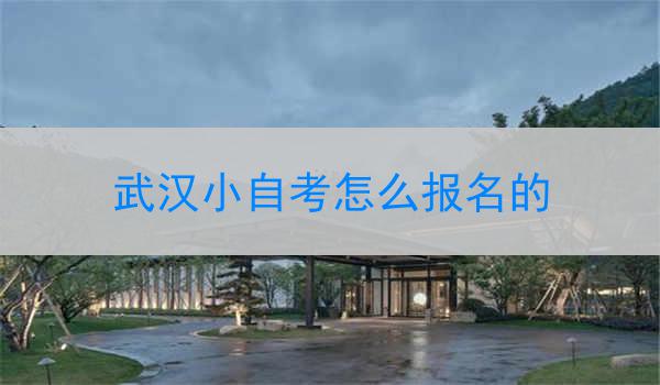 武汉小自考怎么报名的