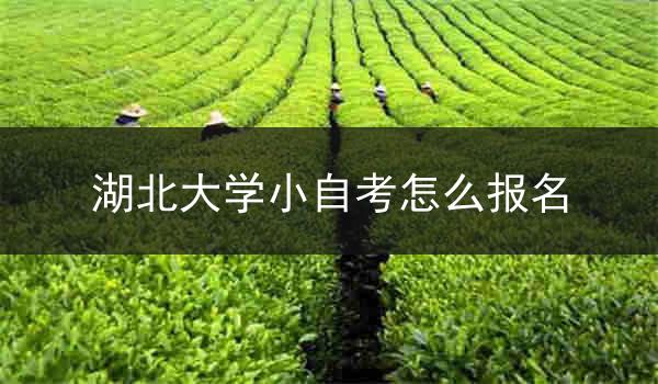 湖北大学小自考怎么报名