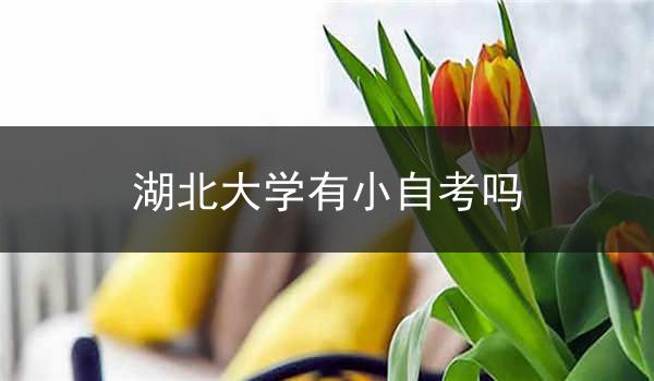 湖北大学有小自考吗