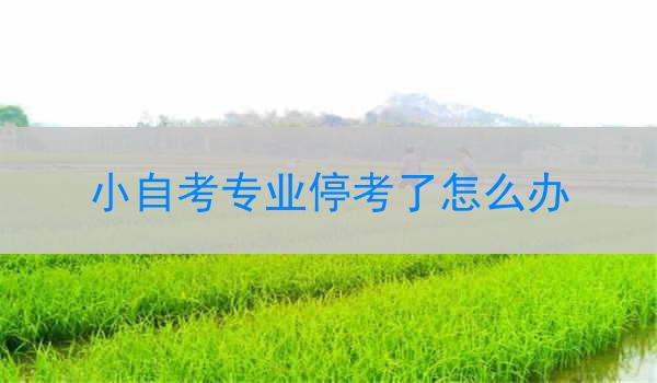 小自考专业停考了怎么办