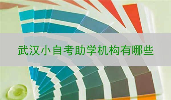 武汉小自考助学机构有哪些