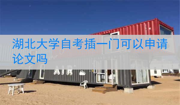 湖北大学自考插一门可以申请论文吗