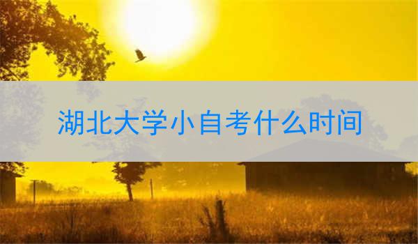 湖北大学小自考什么时间