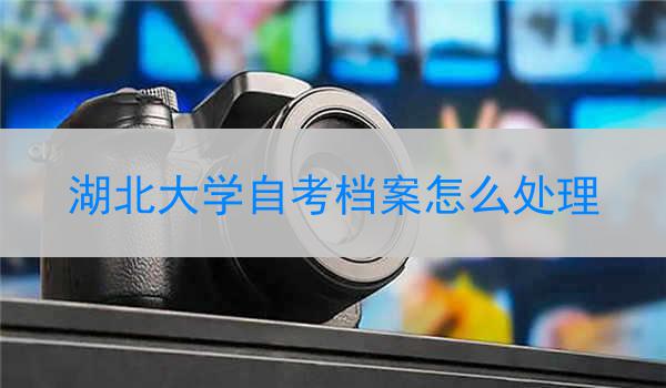 湖北大学自考档案怎么处理