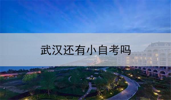 武汉还有小自考吗