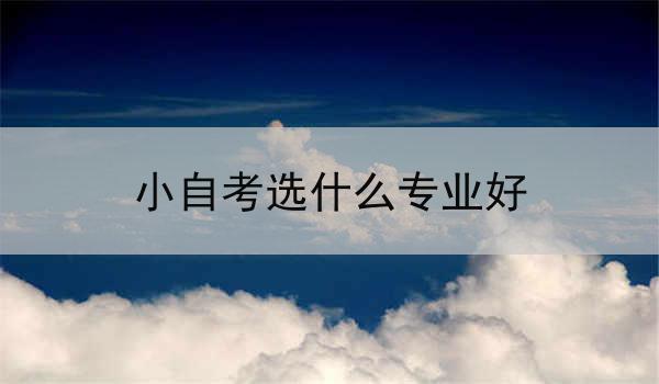 小自考选什么专业好