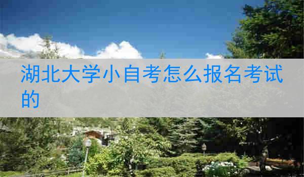 湖北大学小自考怎么报名考试的