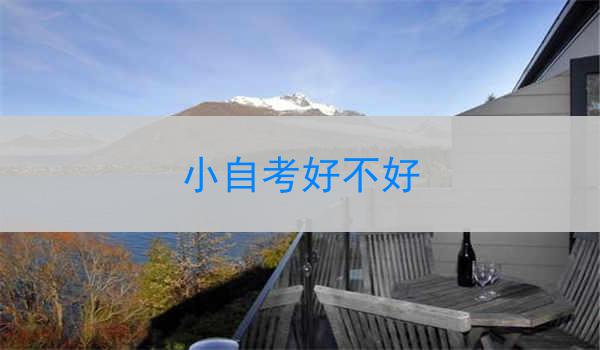 小自考好不好
