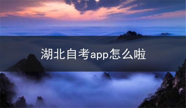 湖北自考app怎么啦