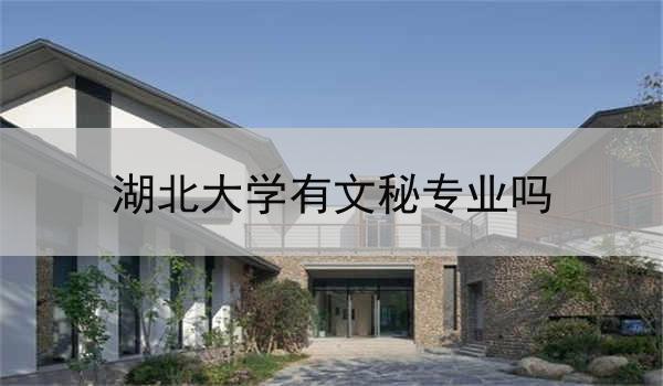 湖北大学有文秘专业吗