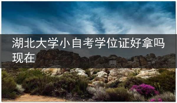 湖北大学小自考学位证好拿吗现在