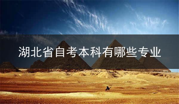 湖北省自考本科有哪些专业