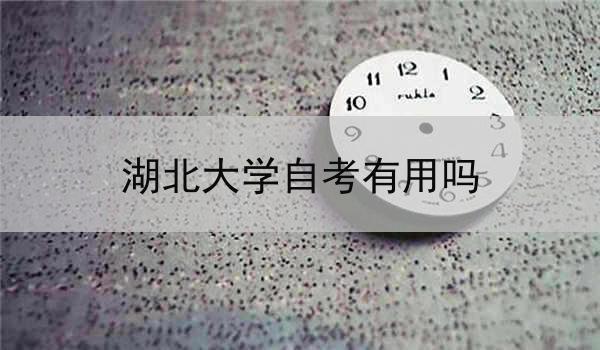 湖北大学自考有用吗