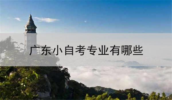 广东小自考专业有哪些