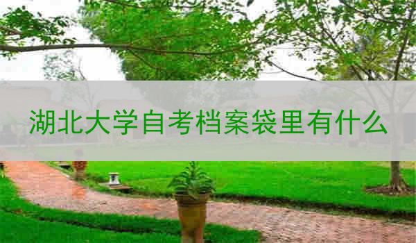 湖北大学自考档案袋里有什么