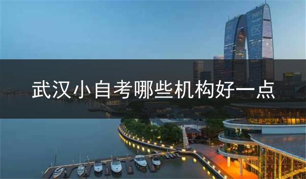 武汉小自考哪些机构好一点