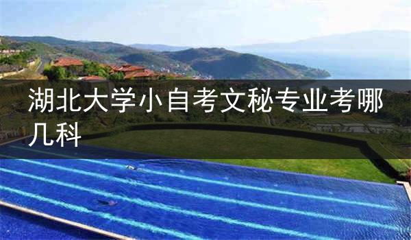 湖北大学小自考文秘专业考哪几科