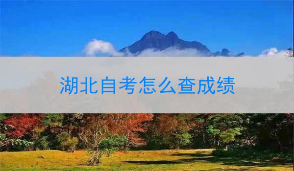 湖北自考怎么查成绩