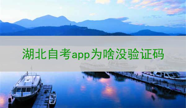 湖北自考app为啥没验证码