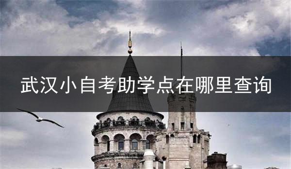 武汉小自考助学点在哪里查询