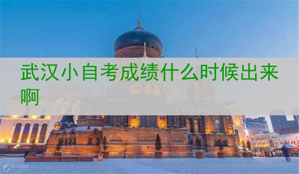 武汉小自考成绩什么时候出来啊