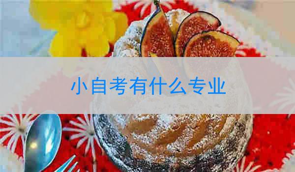 小自考有什么专业