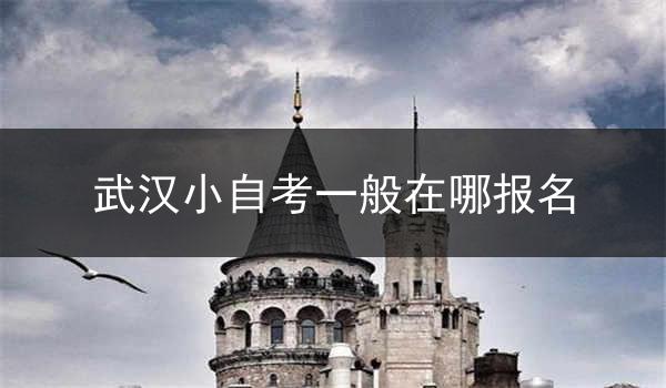 武汉小自考一般在哪报名