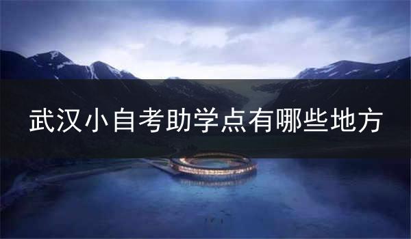 武汉小自考助学点有哪些地方